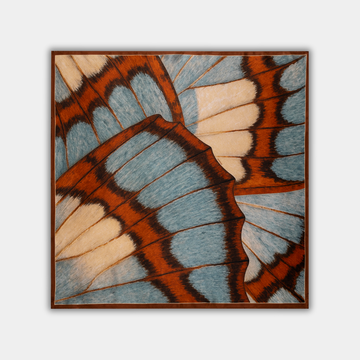 Animal NO.119