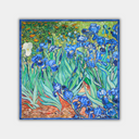 Vincent van Gogh - Irisai