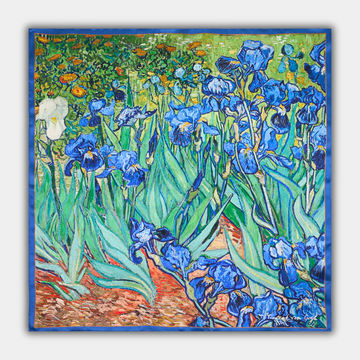 Vincent van Gogh - Irisai